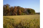 Property photo 8 - 202+/- Acres Offered in 7 Tracts